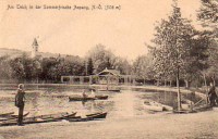 NÖ: Gruß aus Aspang 1919  Am Teich  ( 506 m )